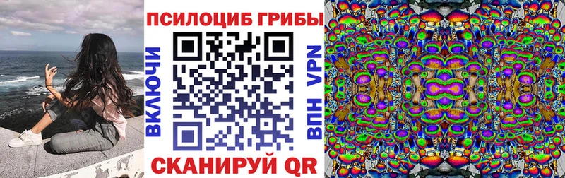 Псилоцибиновые грибы GOLDEN TEACHER  Купить  Ак-Довурак 